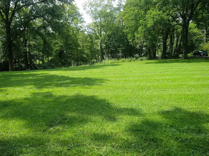 A maintained green lawn surrounded by mature trees