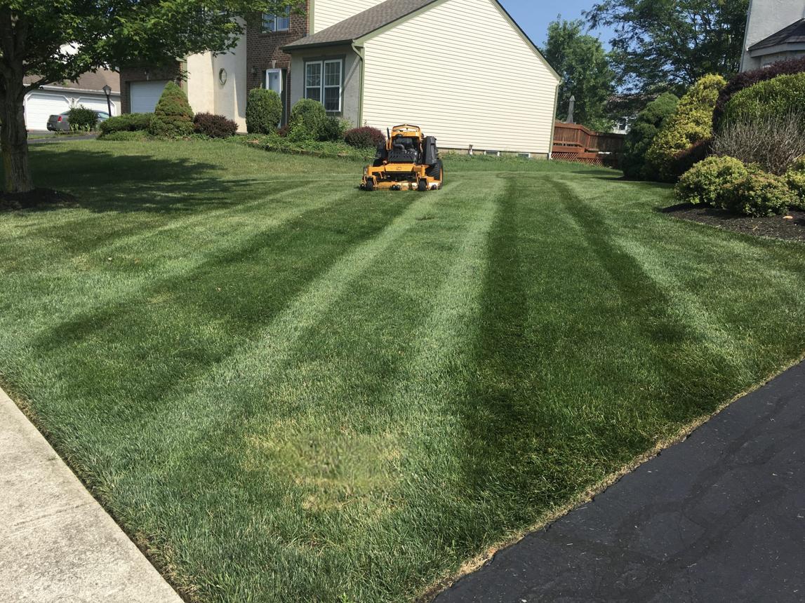 Fresh mowing stripes on a residential lawn